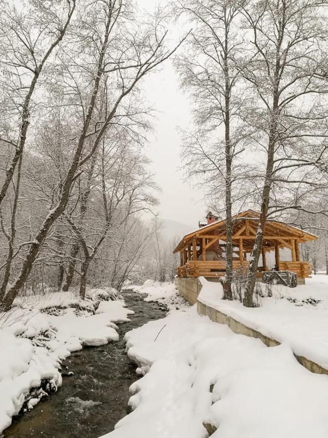 Casa Din Vale Otel Sacuieu Dış mekan fotoğraf