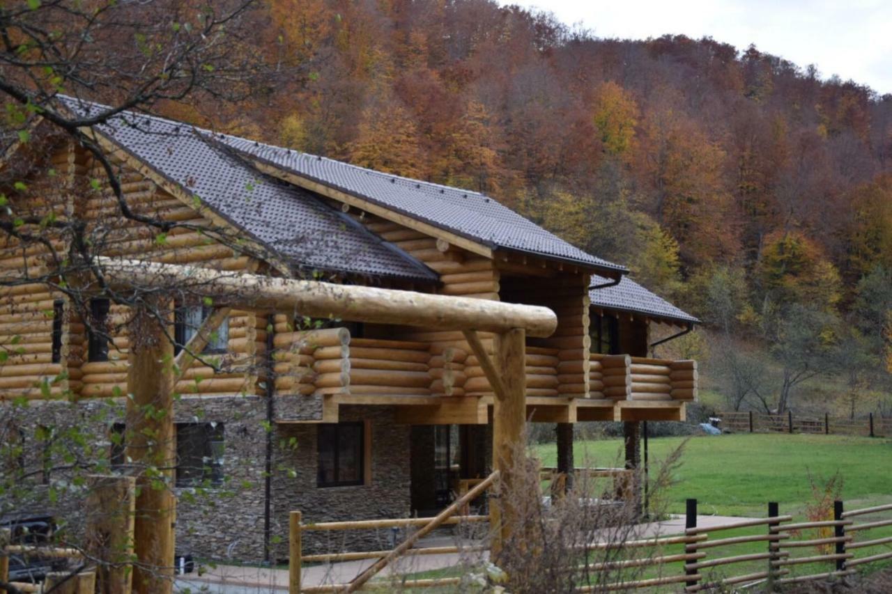 Casa Din Vale Otel Sacuieu Dış mekan fotoğraf