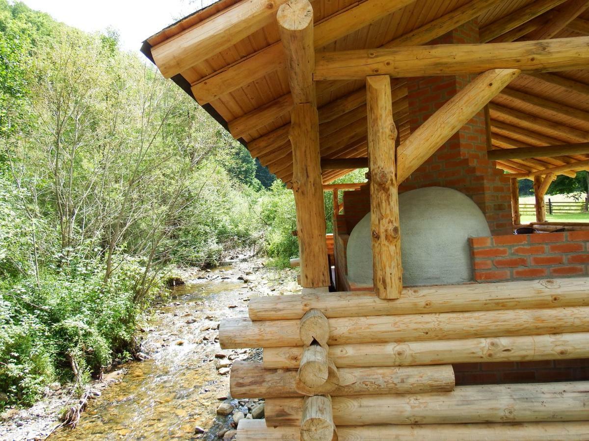 Casa Din Vale Otel Sacuieu Dış mekan fotoğraf