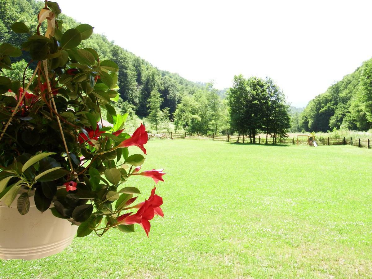 Casa Din Vale Otel Sacuieu Dış mekan fotoğraf