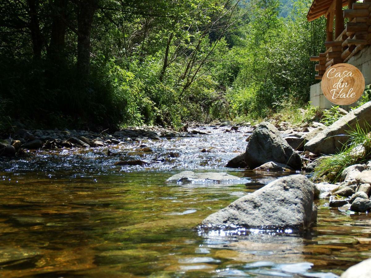Casa Din Vale Otel Sacuieu Dış mekan fotoğraf